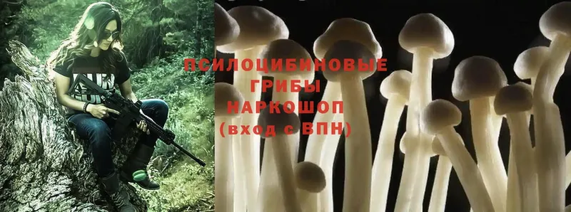 darknet официальный сайт  продажа наркотиков  Ипатово  Галлюциногенные грибы Magic Shrooms 